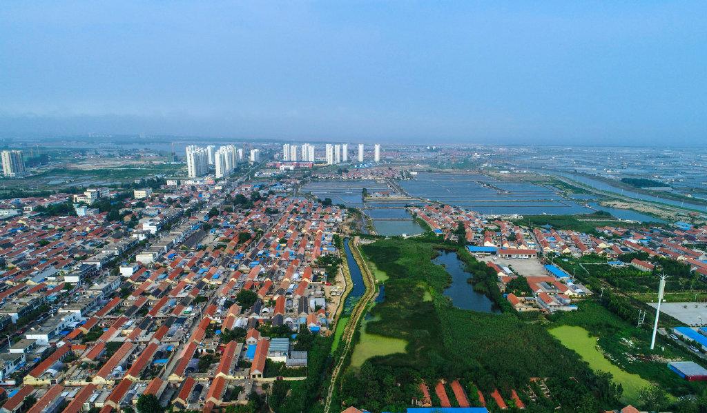 东港1月财政收入增长稳定！

东港区是山东日照的主城区，是日照发展的重要部分。