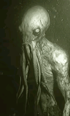 【疑似 AI 生成视频 自行判断】
这生物是否真的存在，是否真的隐藏在地球上，游