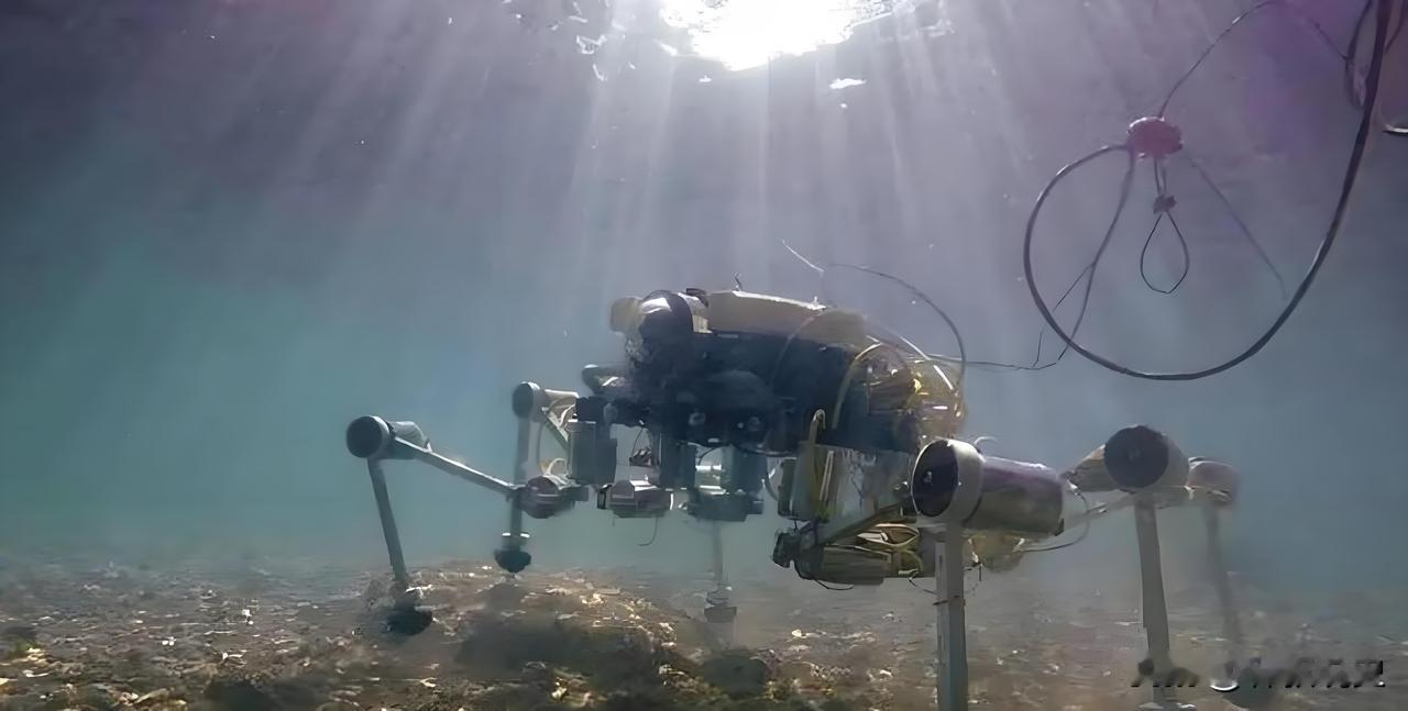 就在刚刚，日本全国上下欢呼雀跃。根据日本共同社2月2日消息，日本宣布，他们成功从