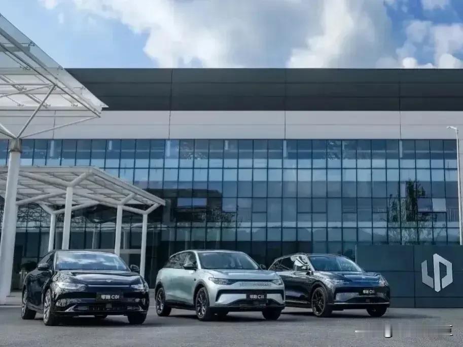 所有人都亏欠你，你除了生了家孩子你还做出什么贡献吗？你母亲对你那么好亏欠你，孩子