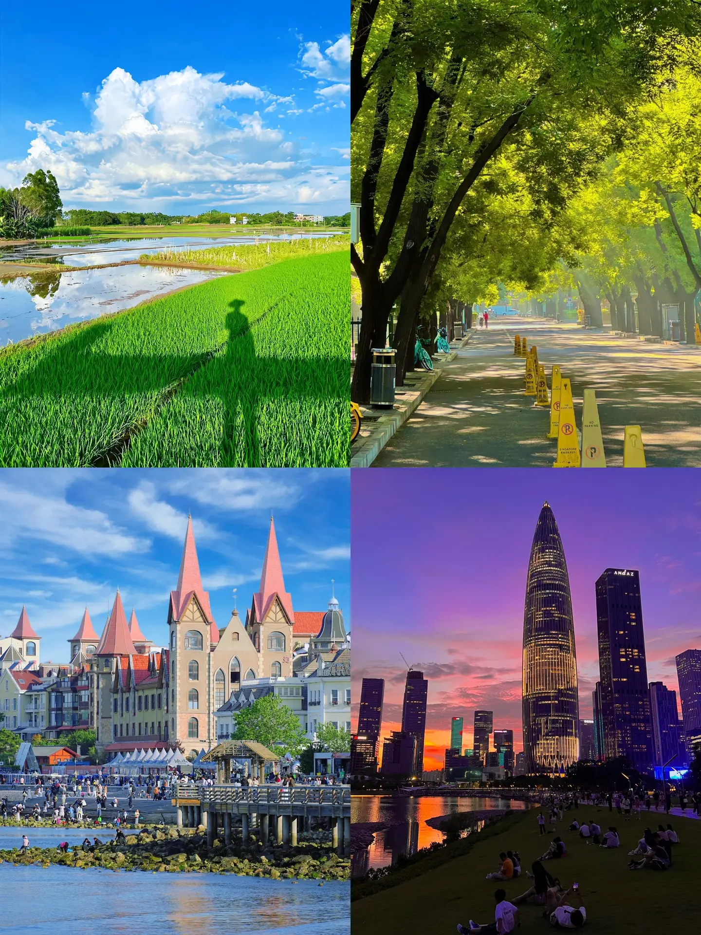 你的童年是在哪度过的？