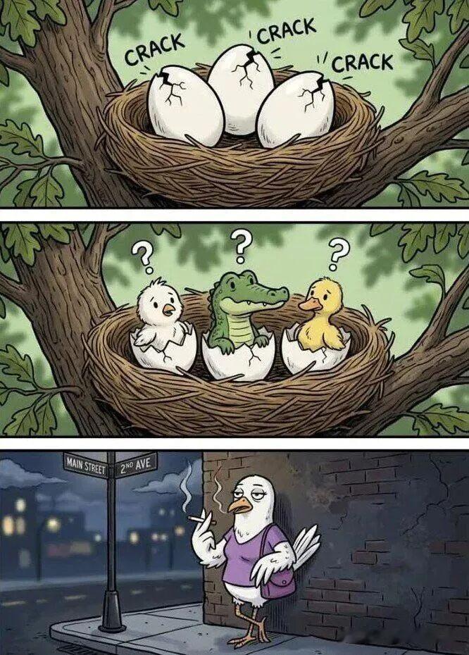 鳄鱼过分了 