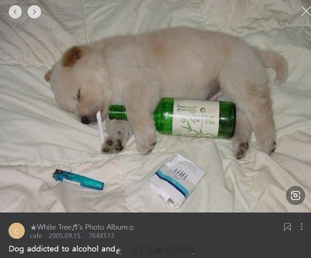 “他私下可是烟酒都来啊” ​​​