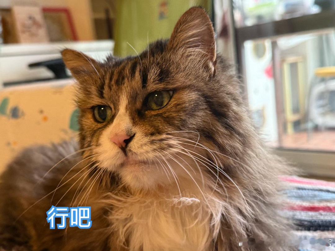 前两天让赵老师给他闺女开个会，让他闺女不要每天早上四点多就喊我们起床了，太早了，