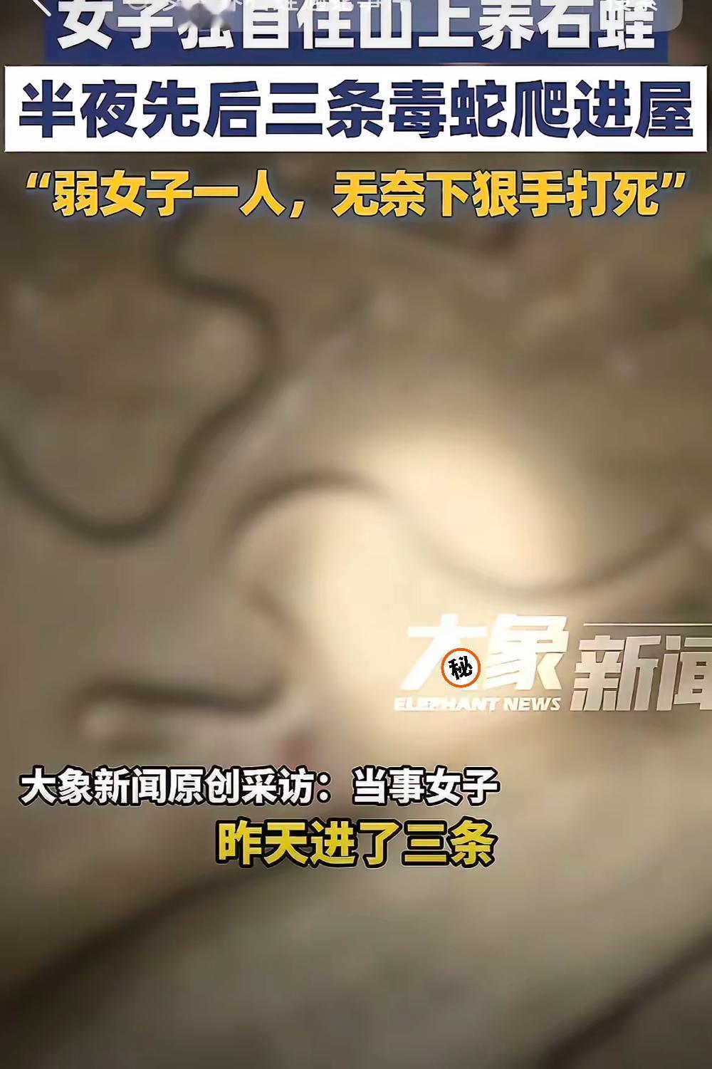 胆子也太肥了！湖南永州女子房间闯进来三条毒蛇，她居然抄起木棍全给打死了，这“女汉
