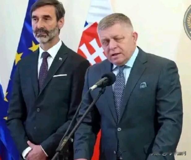 菲佐不愿向特朗普支付十亿美元，并“满怀感激”地拒绝了加入和平理事会的邀请。

“