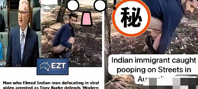 这操作真的颠覆三观！

   澳洲阿德莱德街边印度人公然大便，

    居民拍