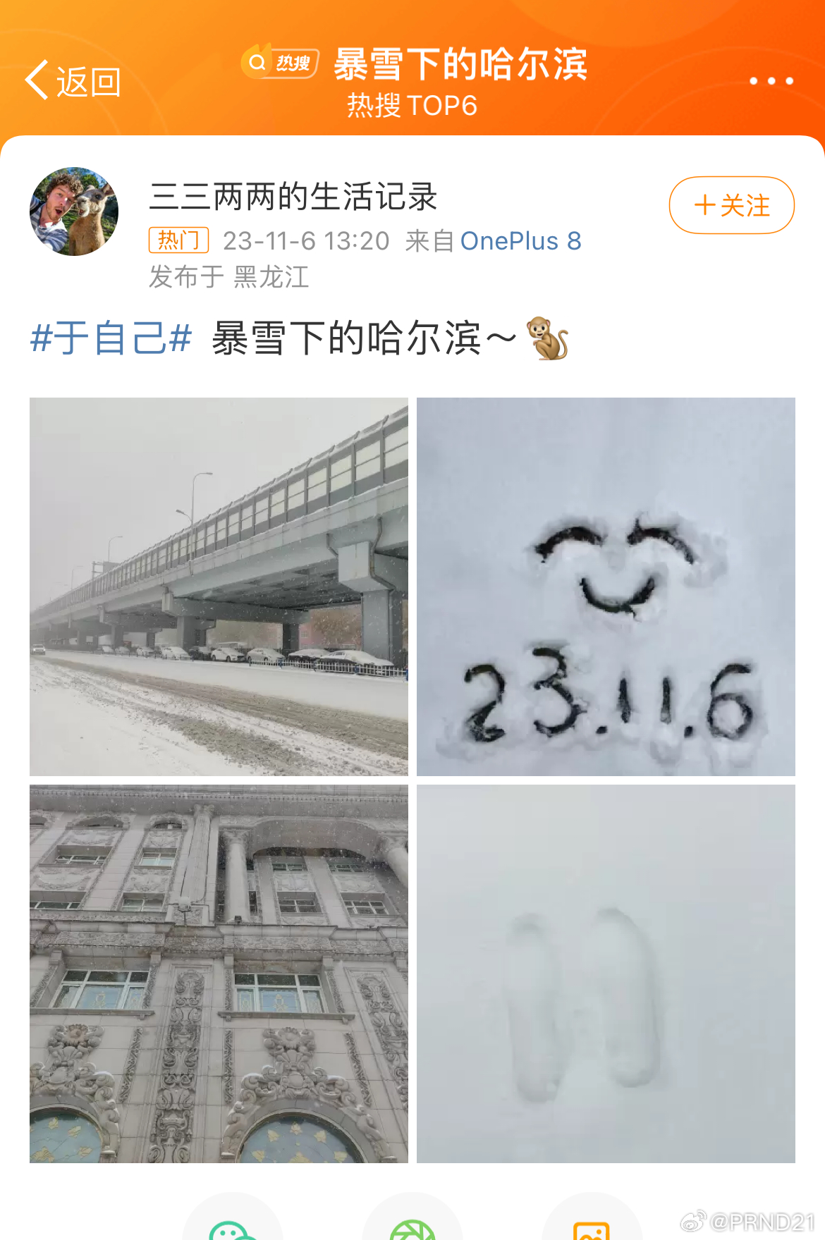 #暴雪下的哈尔滨# 媳妇已经在琢磨带娃去看看了，可能是南方人的执念吧[跪了]……