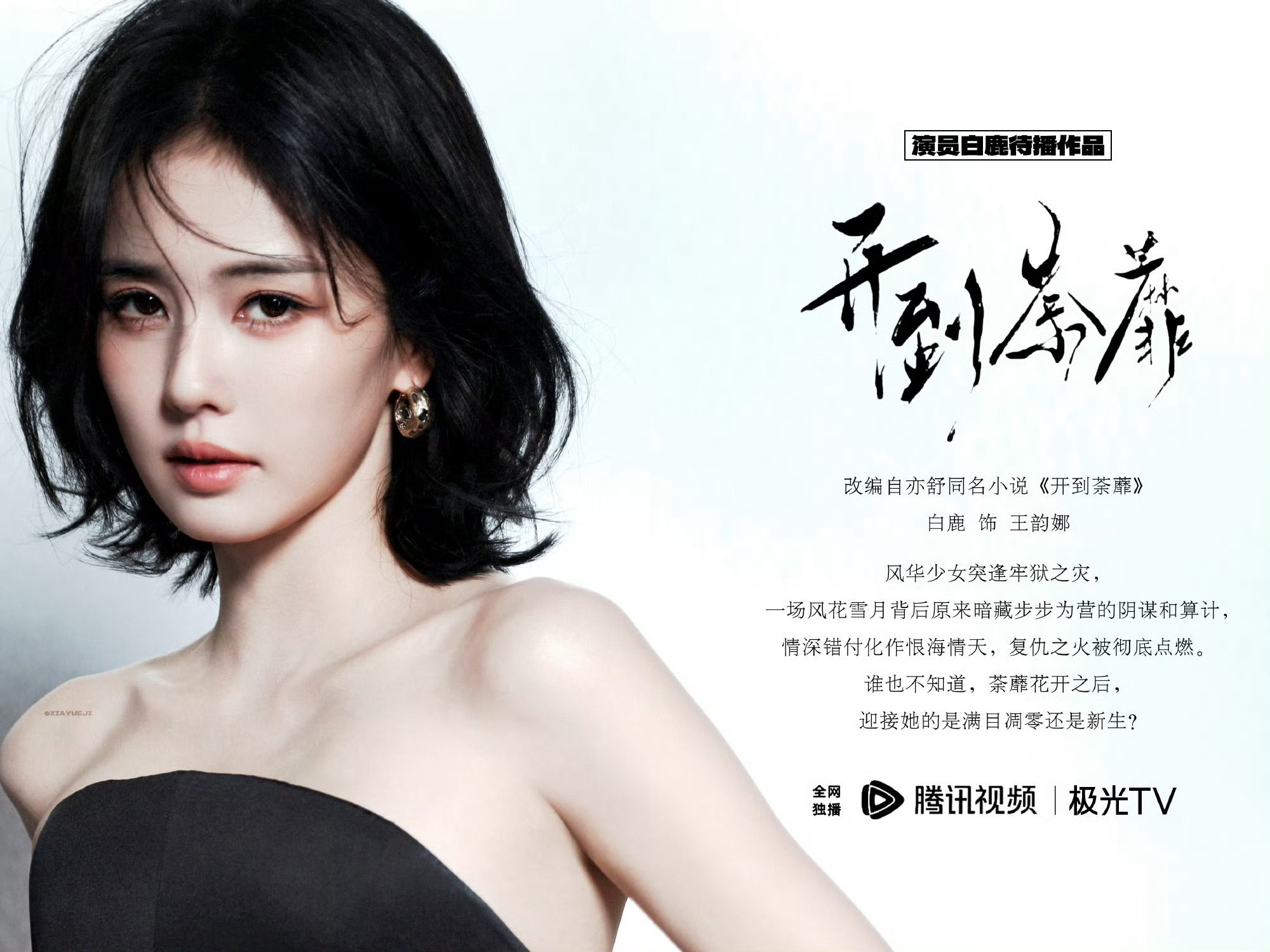 白鹿红秀高定数量总有话术来挑刺审判，归根结底不过是因为女神的星光闪耀到了她们[笑