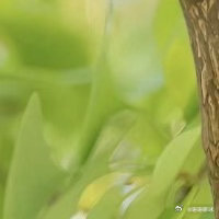阳光信用  💦善如星辰，在生命的天空闪耀。面对恶意，用善去化解；遭遇挫折，以善