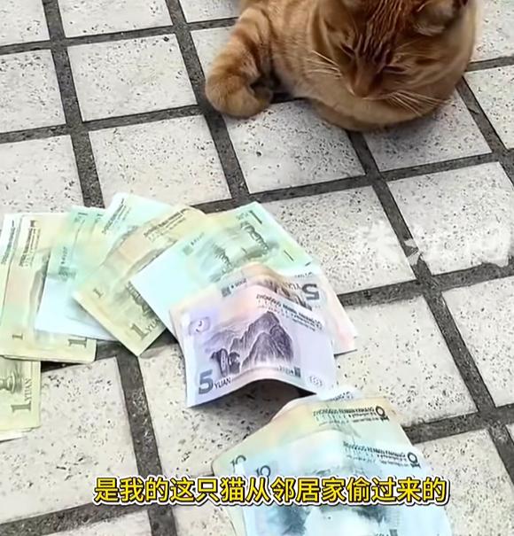 女子本来不缺钱，但却总是希望自己能发个财，发个意外的大财！
于是，女子就去了当地