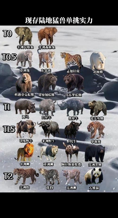 地球上现存陆地猛兽单挑实力分档