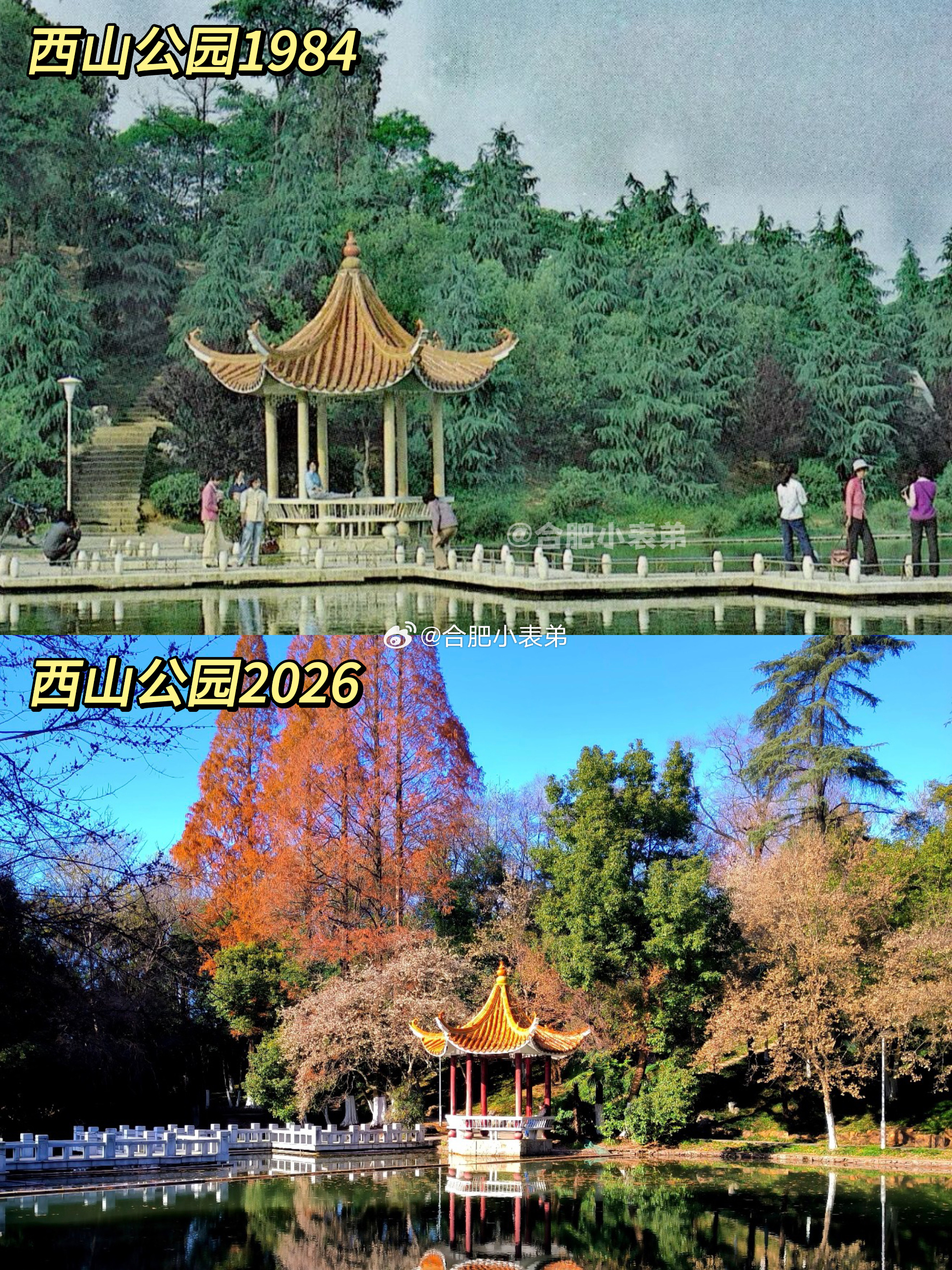 一条plog告别十月我们的合肥记忆No.331📍西山公园新旧对比，环城公园藏着