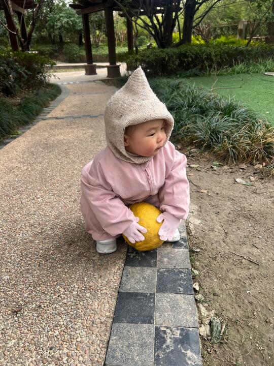 宝宝很贵吗？为什么只给我这么小一只！