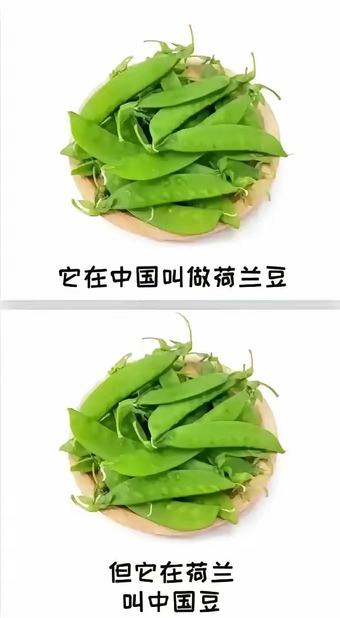 这货到底经历了什么？ 