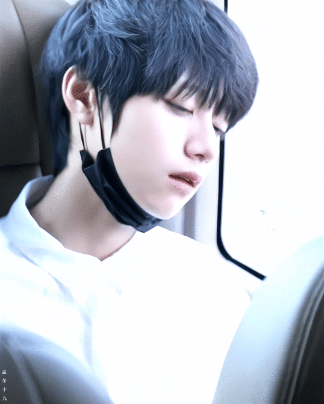睡觉睡觉💤 