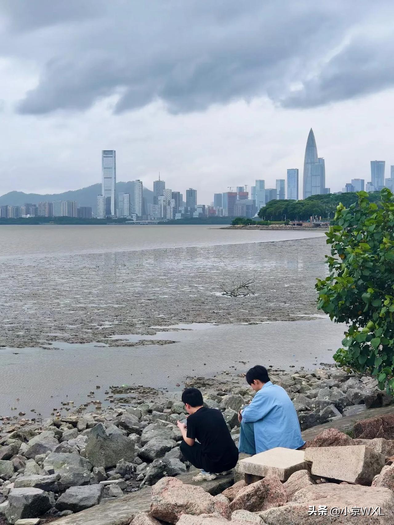 深圳湾公园，静待候鸟的归来
随手拍张照
深圳湾公园，每年 10 月到次年 4 月