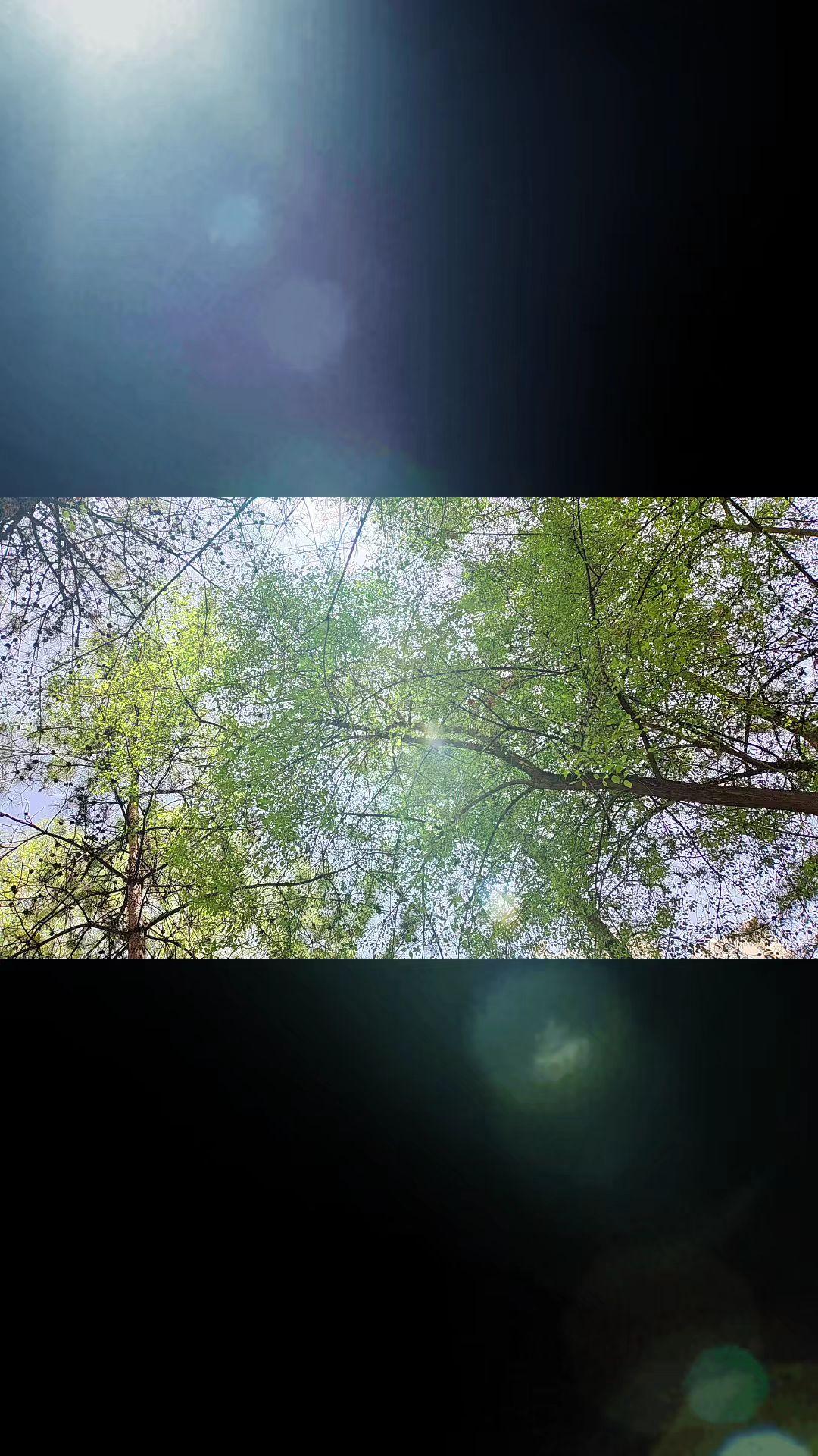 好好照顾自己，见不见面，我都爱你…