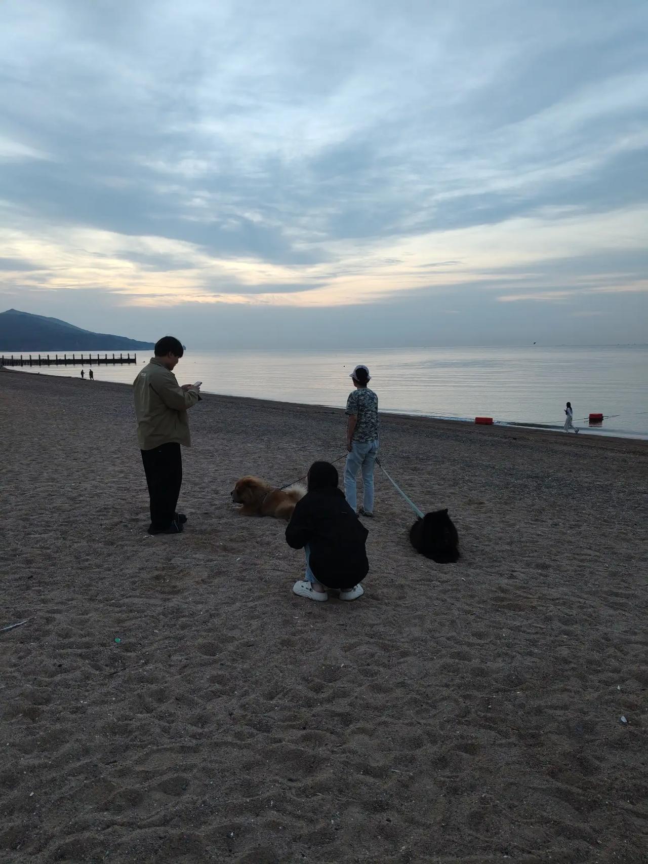 我已经到葫芦岛海滨浴场附近的宾馆住了两晚上了，感觉到葫芦岛的海边风景很好，飞鸟也
