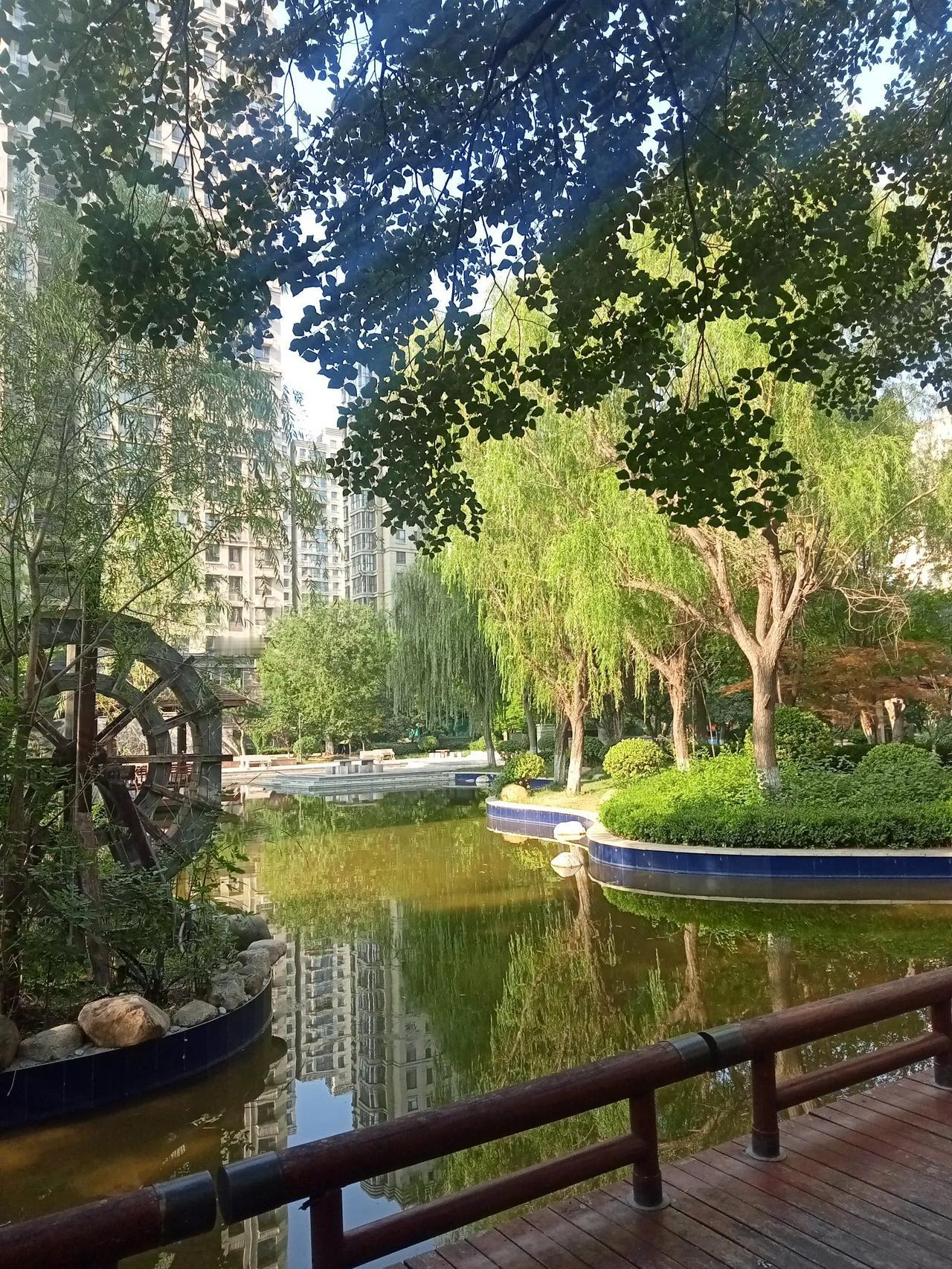 说实话，这物业服务是一年不如一年。我们是小区第一批入住的业主，小区分三批开发。当