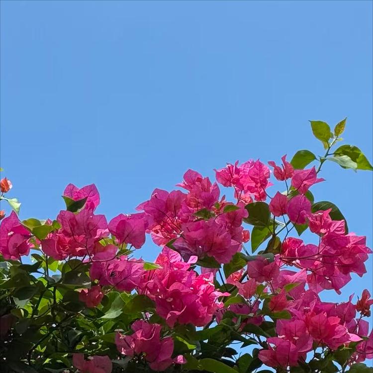 12月25日-26日的会议传递出这3个重要信号
 
一是中央八项规定是长期有效的