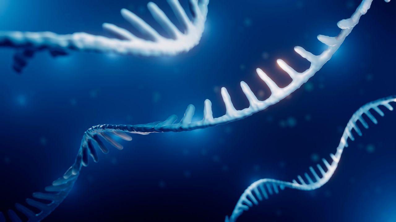 在分子层面，每个人的衰老表现并不相同——它是“因人而异且取决于具体情境”的