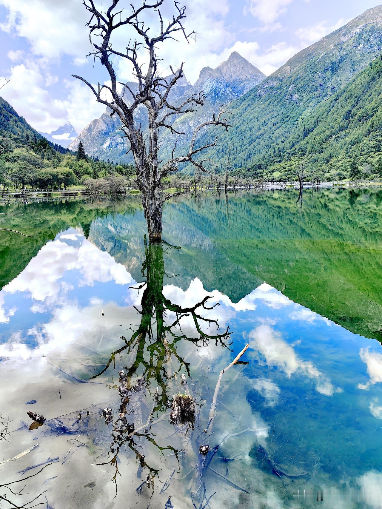 四川一个镇胜过几个欧洲国家，这就是阿坝州的四姑娘山镇。虽然总面积远远比不上阿尔卑