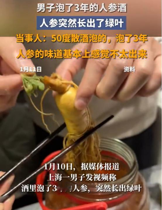 科学都解释不清了！上海，一男子用鹿鞭人参泡酒，最近家里来朋友准备招待一下，结果却