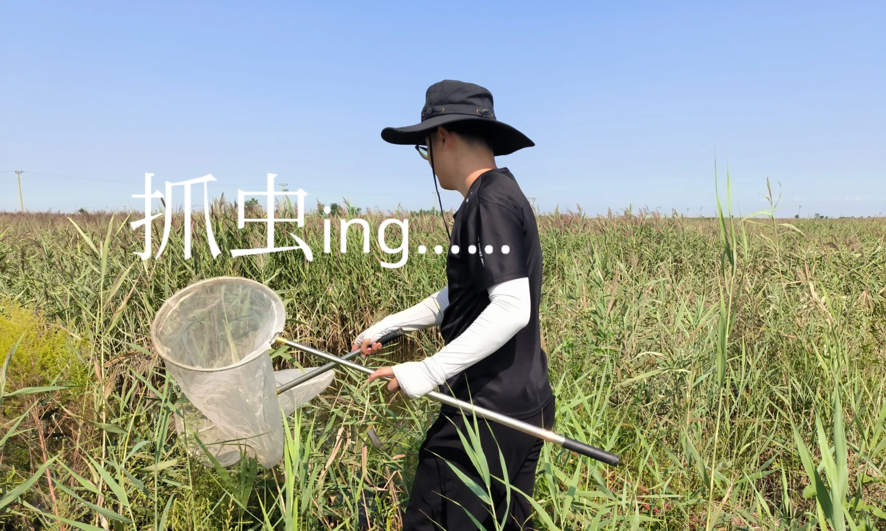【研一】森林昆虫学研1️⃣的第一个月