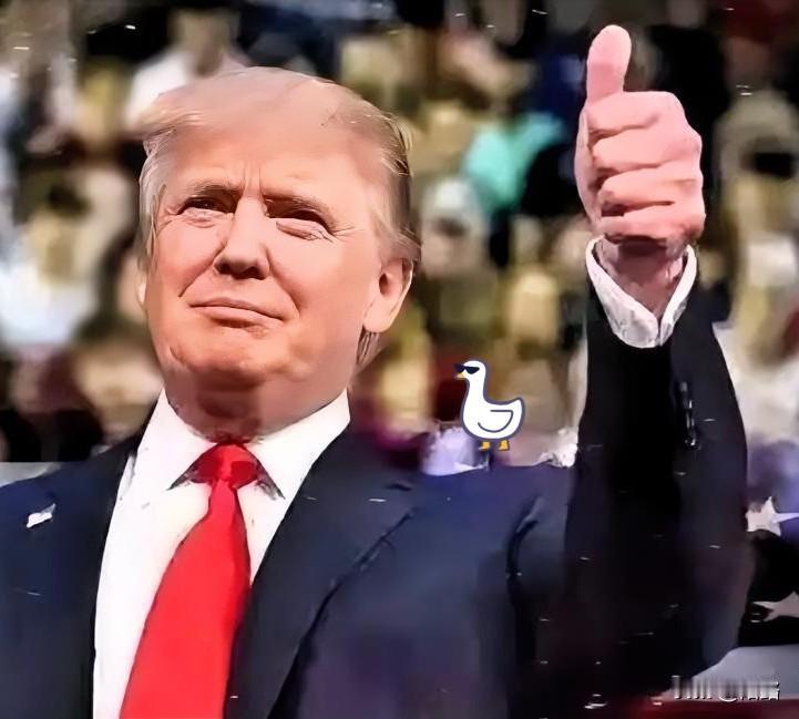 消息来了，特朗普下周要搞个大手笔。他准备带上美国史上规模最大的代表团，五六个内阁