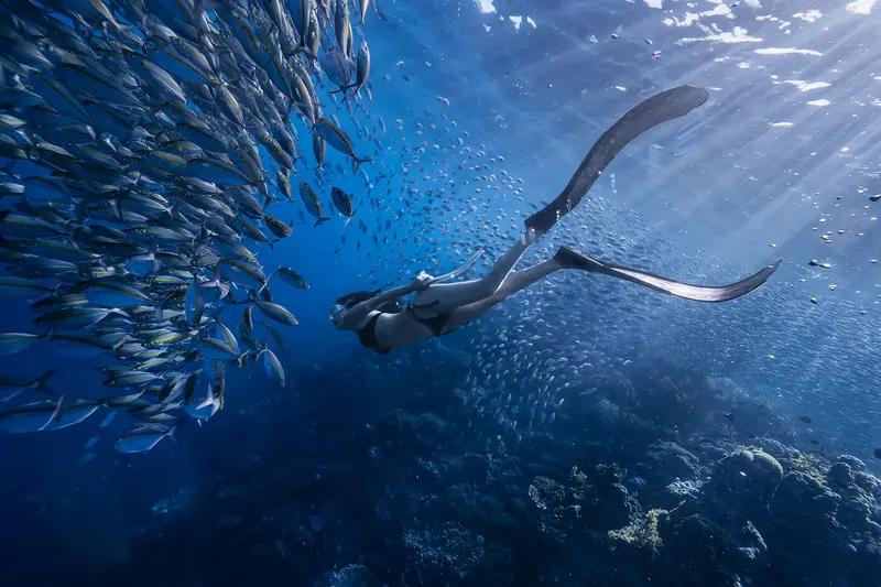 2026想学会的一件事 2026年，我最想学会潜水。之前看朋友潜水的照片，那湛蓝