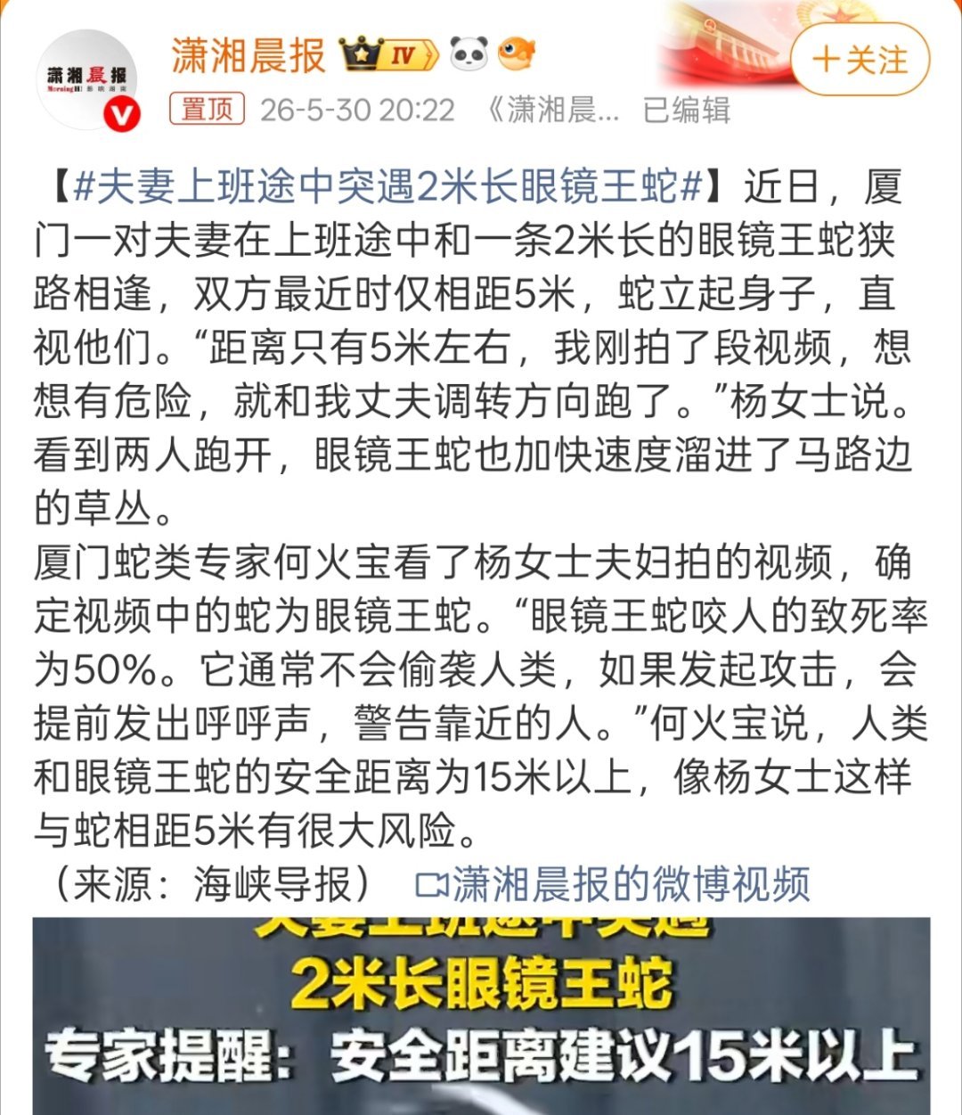 夫妻上班途中突遇2米长眼镜王蛇这要是我估计直接吓晕过去了，从小到大最怕蛇了。 