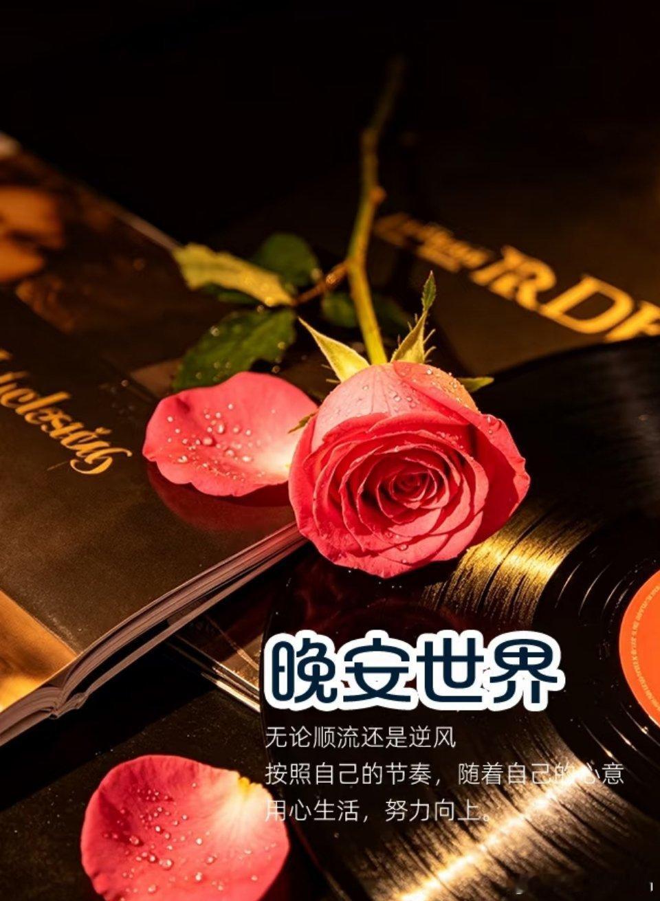 晚安 生活是一种感受，也是一种积累，生活没有答案，生活不需要答案。放下烦恼，安心