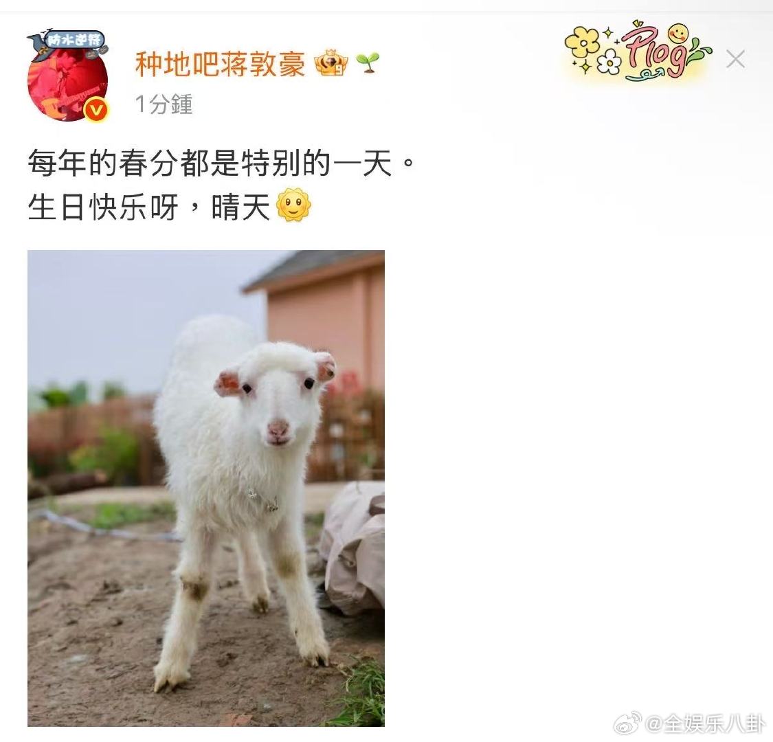 蒋敦豪生日快乐呀晴天蒋敦豪连续三年发文祝小羊晴天生日快乐，每个春分都是特别的种地
