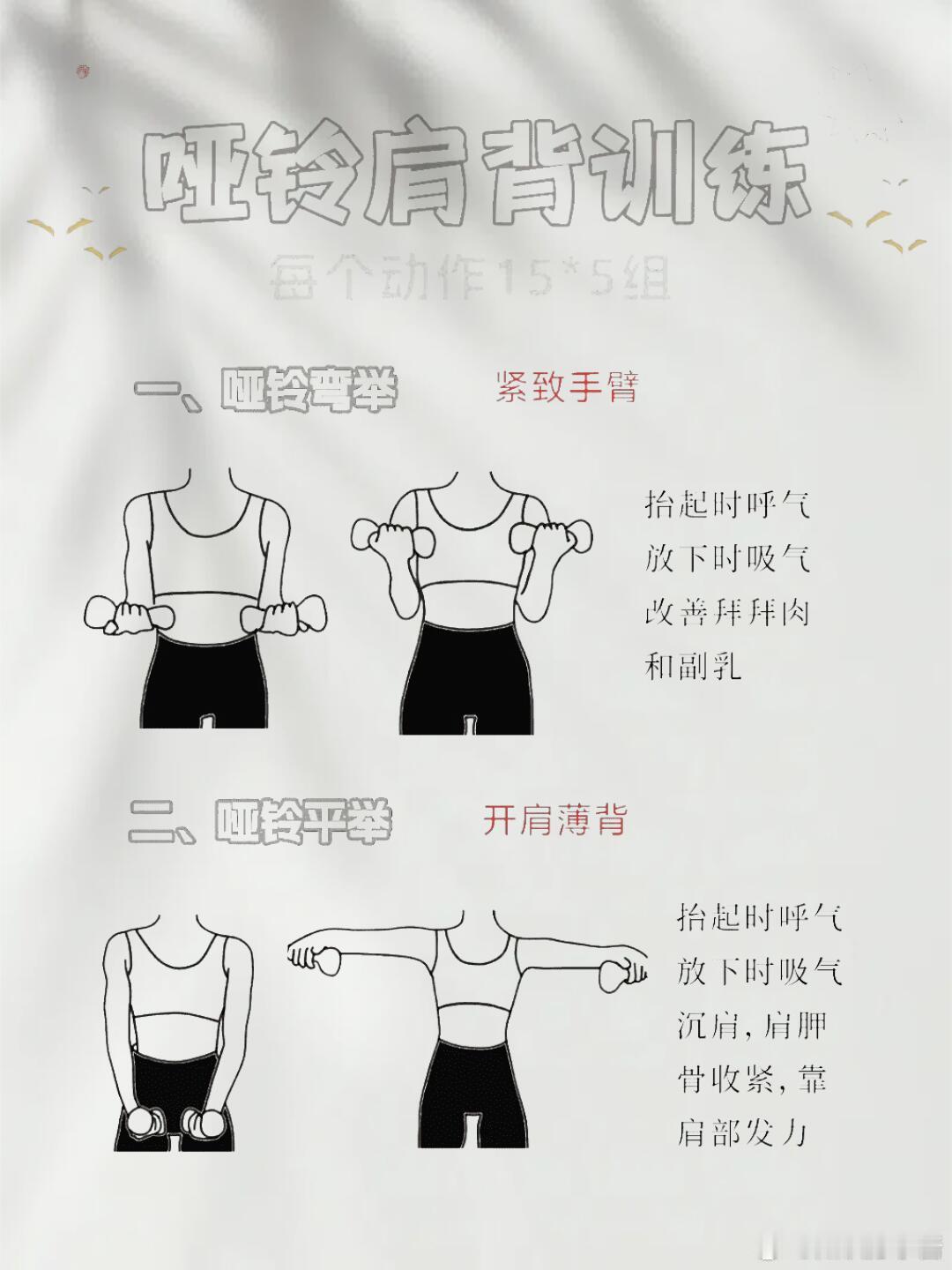 运动科普运动康复 女生必练💥 哑铃肩背训练｜瘦手臂 + 薄背还在为 “虎背熊腰