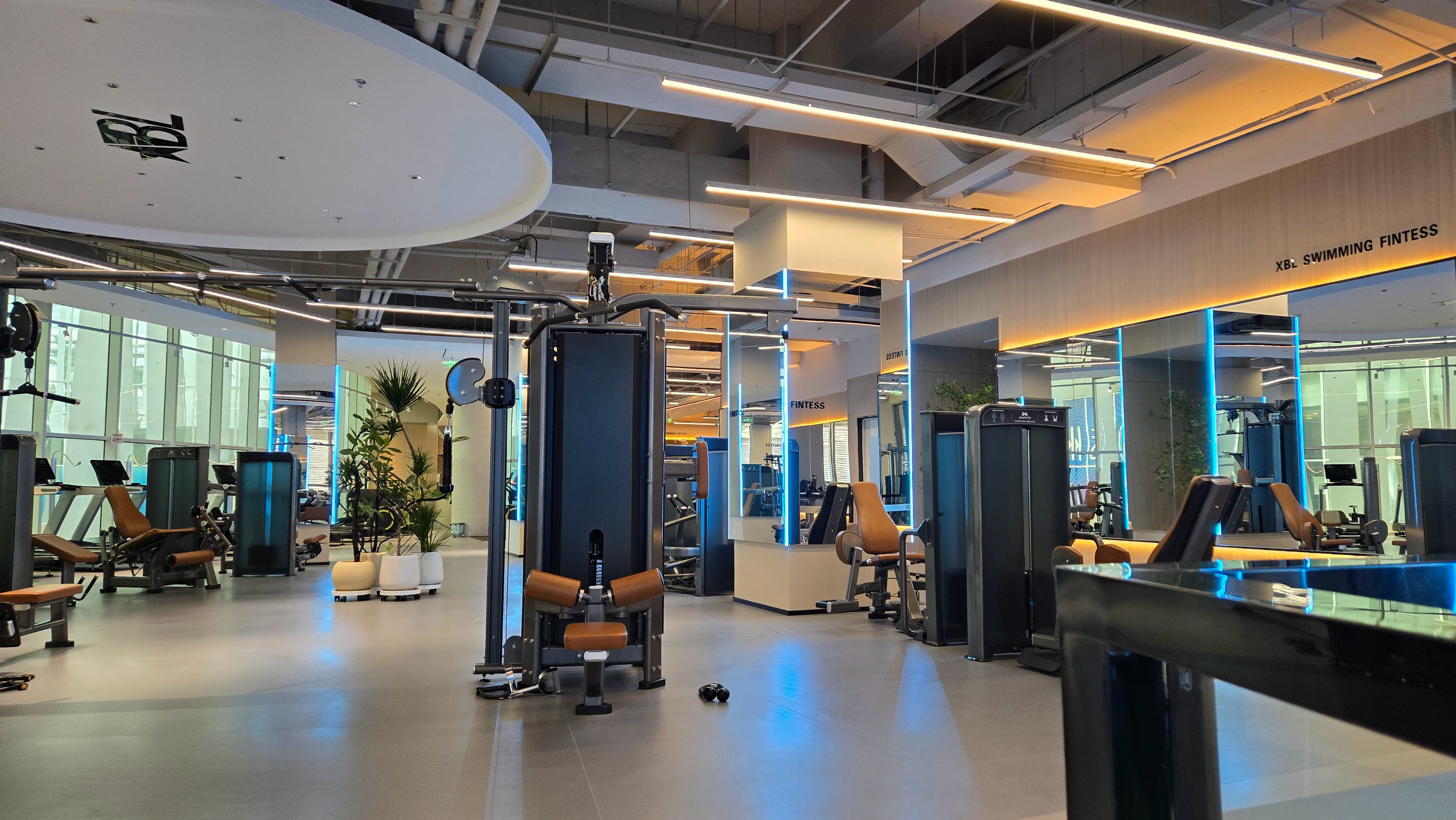 打卡健身，我爱健身！（不是为了瘦）  