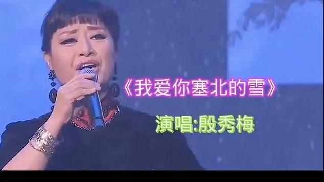 《我爱你塞北的雪》唱的最好的当属殷秀梅

《我爱你塞北的雪》是一首优美动听的抒情