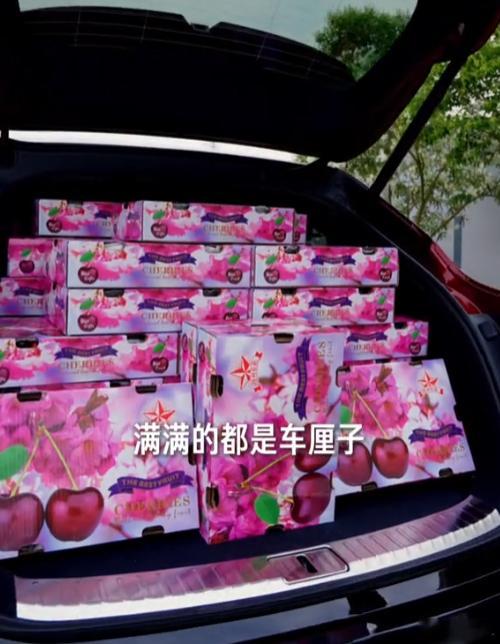 【被质疑违规载货！雷军回应：在封闭道路分装】6月13日，雷军回应用私家车装600