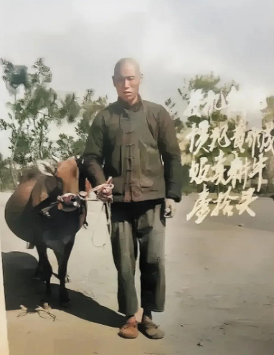 一个农民因贩卖耕牛被抓起来游街示众，并且还被判刑入狱，这样的情节不是什么虚拟的影