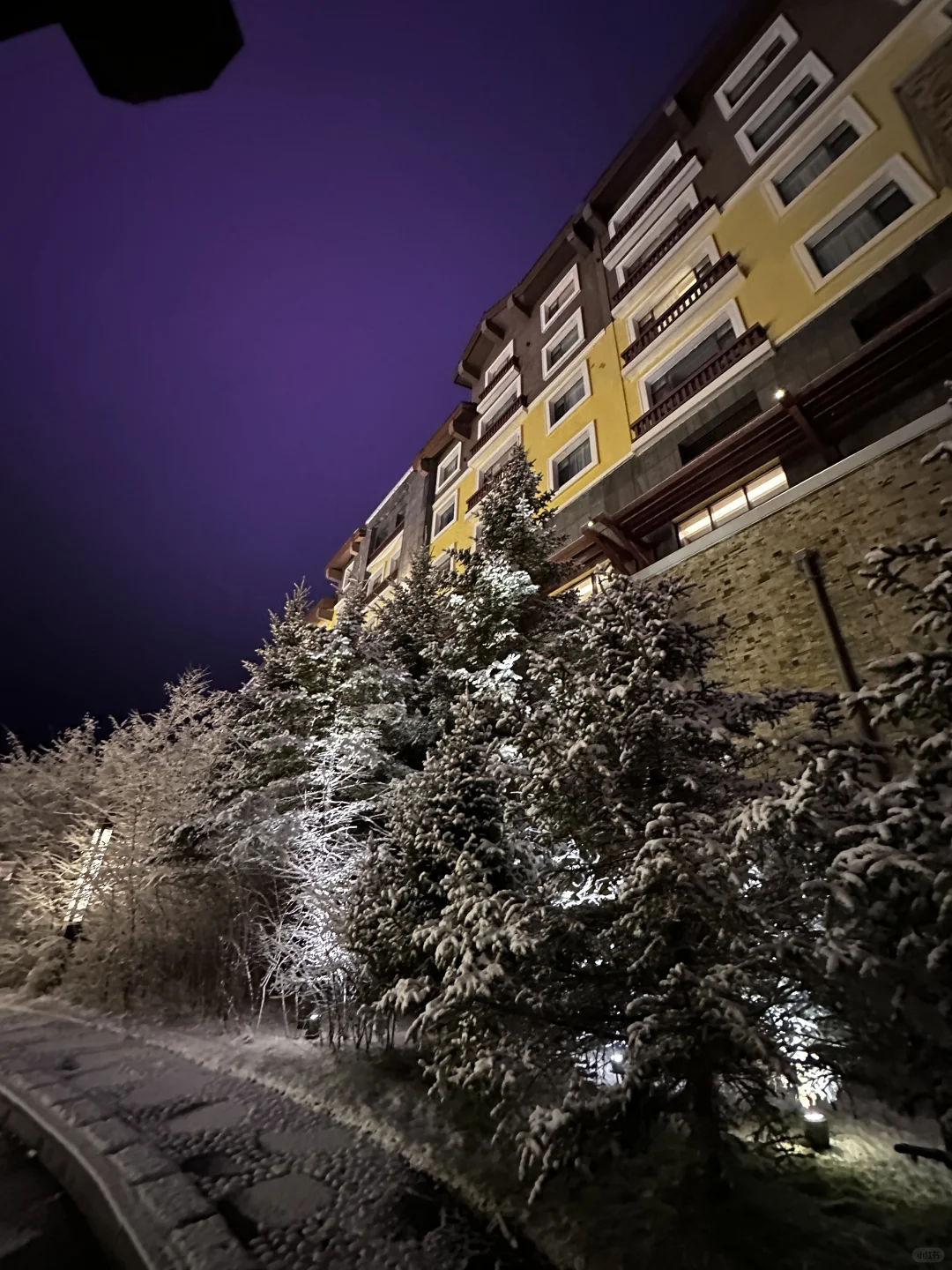 11.16长白山下雪了❄️