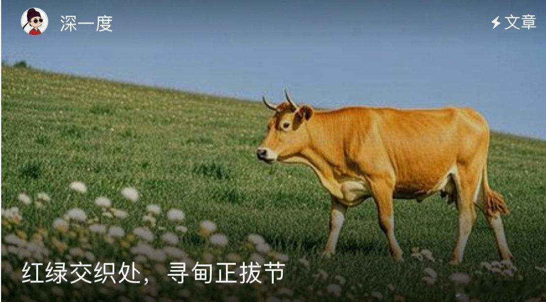 红绿交织处云南寻甸正拔节 红绿交响，寻甸拔节！🌱这里的每一次生长都充满力量，每
