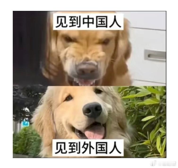 这是真爱，不用38万！ ​​​