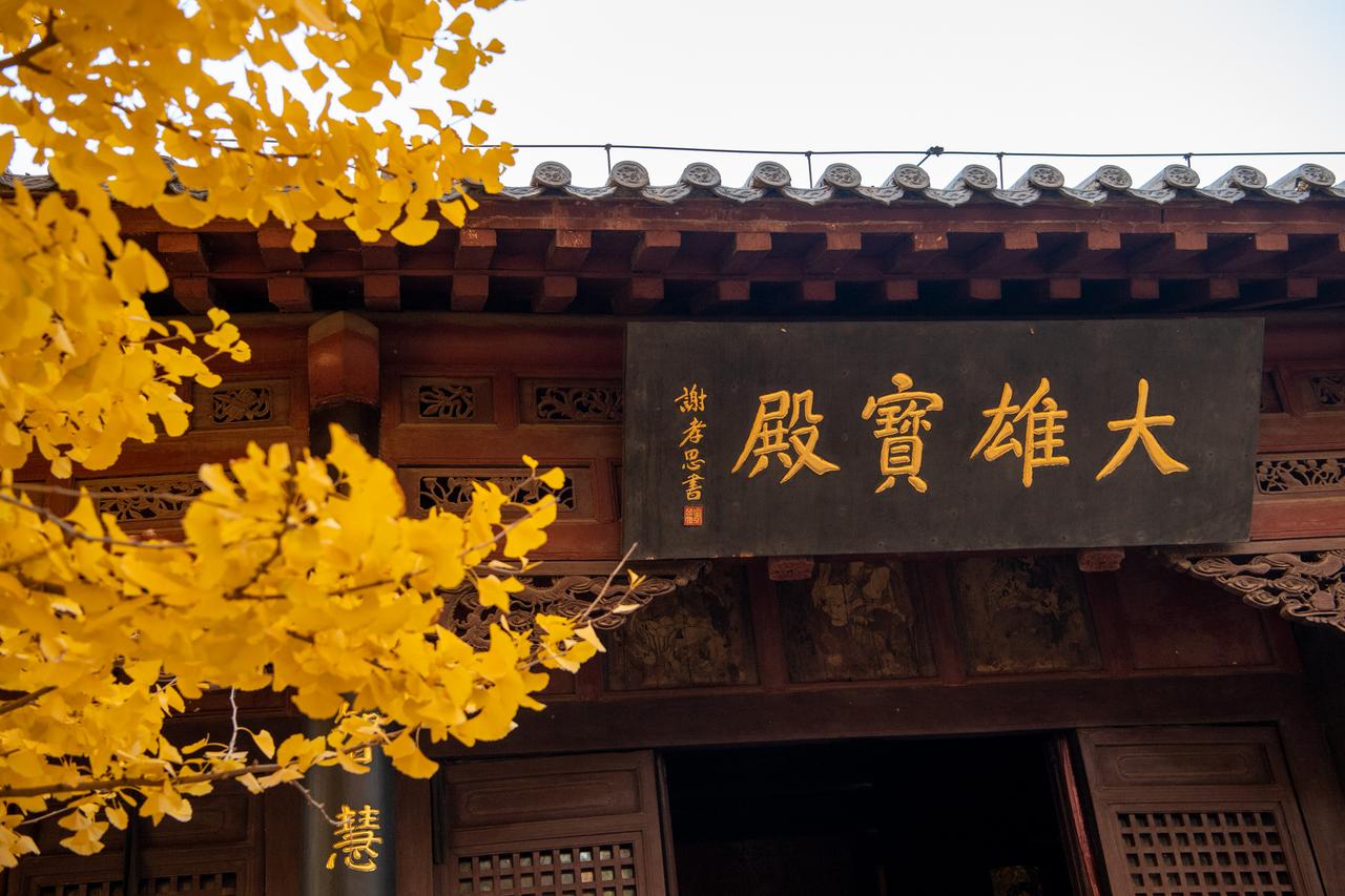 济南周边赏银杏的地方推荐！
天凉好个秋，又到银杏季，济南这些地方的银杏值得去：