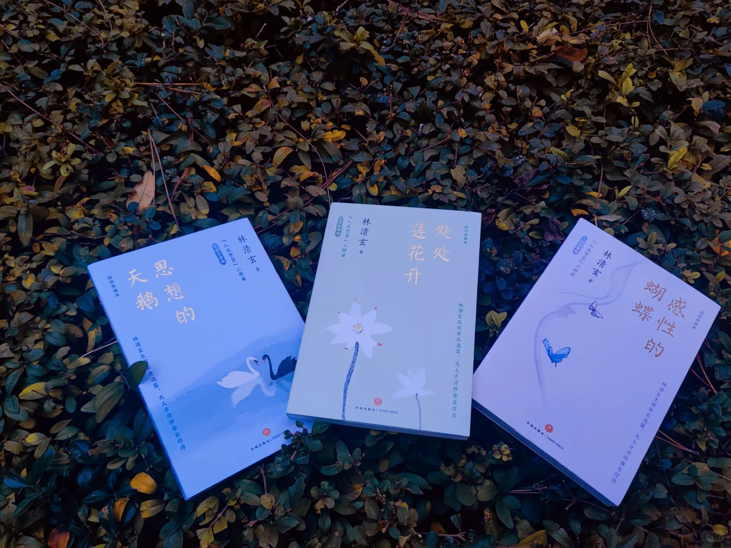 谁的DNA动了？林清玄的“人生智慧”三部曲