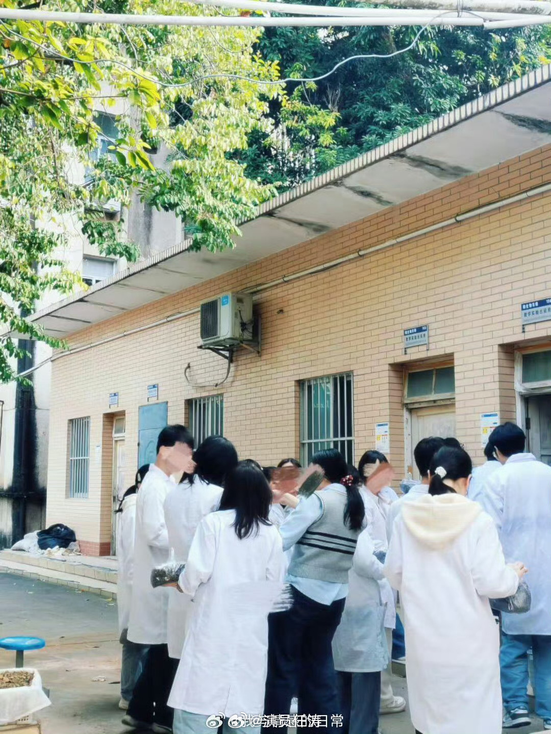 高敏感人都去学农吧高敏感人群总被人际内耗折磨，思虑过重身心俱疲。不如扎根田园专心