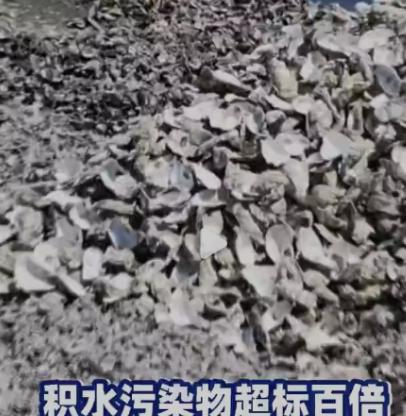 “吃人的生蚝壳”！6月2日，中央生态环保督察组一纸通报，撕开了广东潮州的光鲜外衣