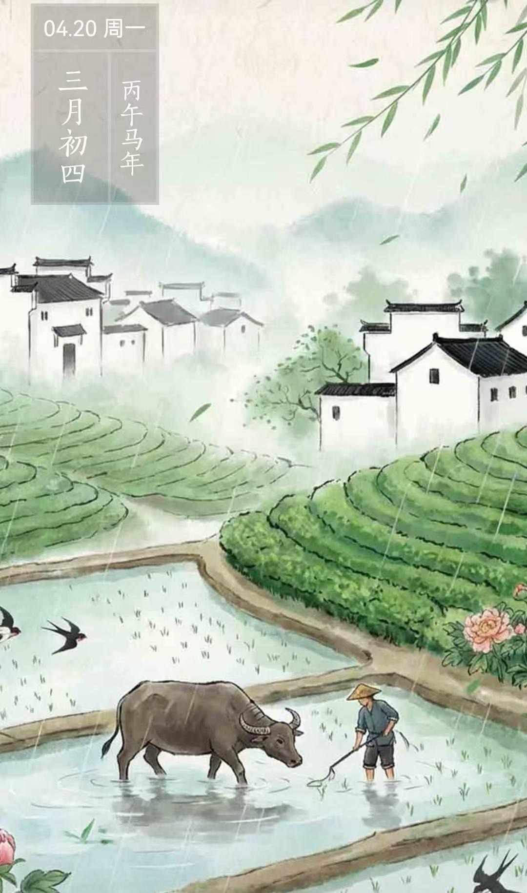 谷雨习俗趣事与养生（一）。谷雨是二十四节气的第六个节气，也是春天的最后一个节气。