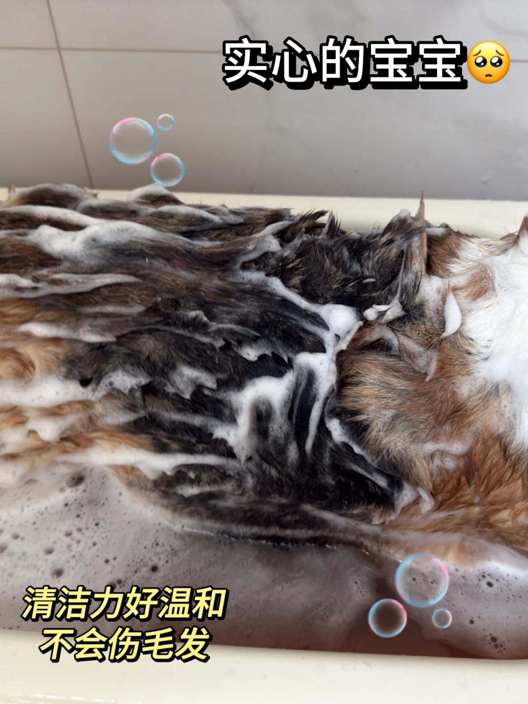止痒好牛！真的有被这款狗狗沐浴露震惊到...