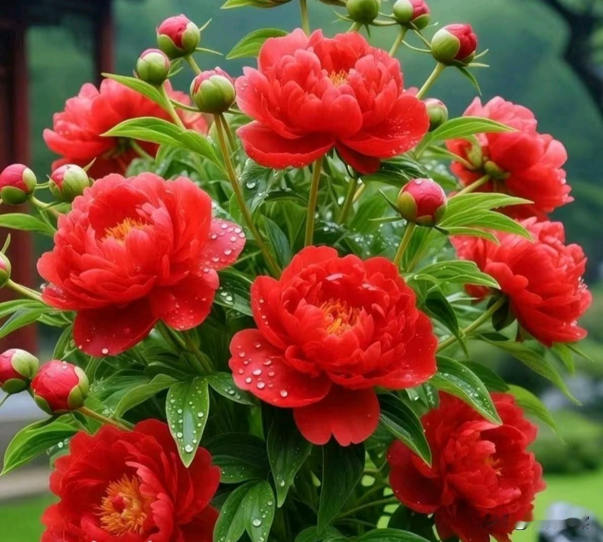 立春至，春启新章，福满庭芳！迎春光，接春福，愿春风拂面皆美好，万事逢春皆顺意！珍