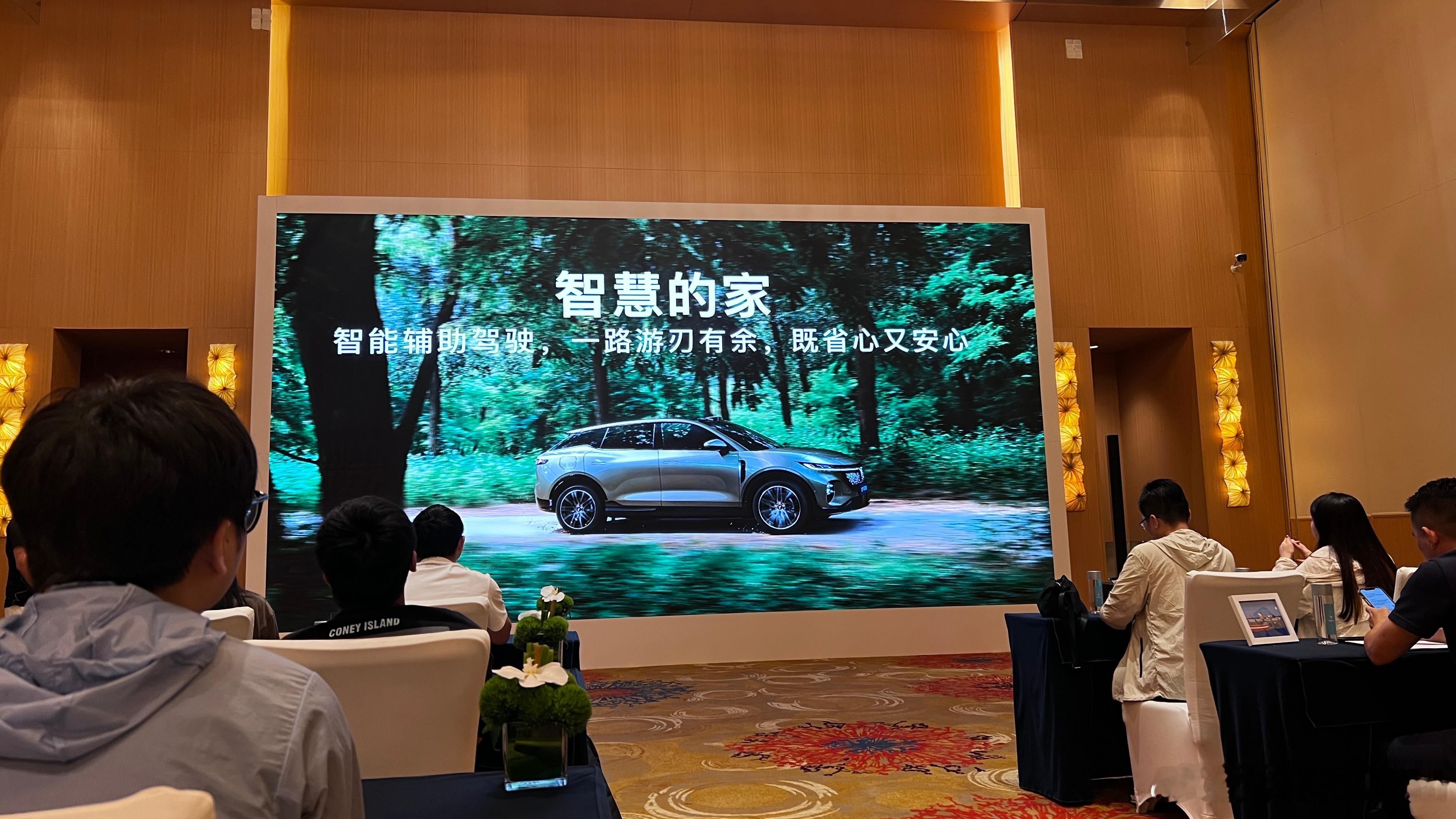 全新岚图知音 自从新款梦想家和岚图FREE+换代了，岚图就有点开窍的意思了，不管